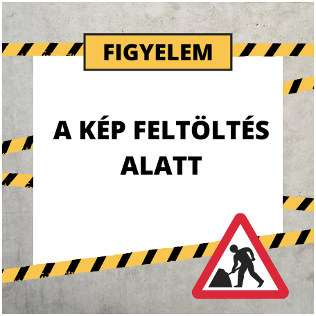 Fejsze nyelezett 1 kg 11419