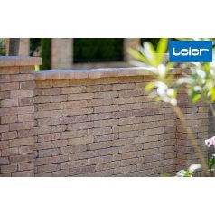 Térburkoló Leier Patio antik téglavör.25x12,4x5 cm